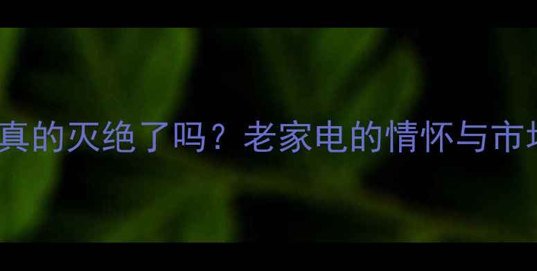 图片 CRT电视机真的灭绝了吗？老家电的情怀与市场现状深度