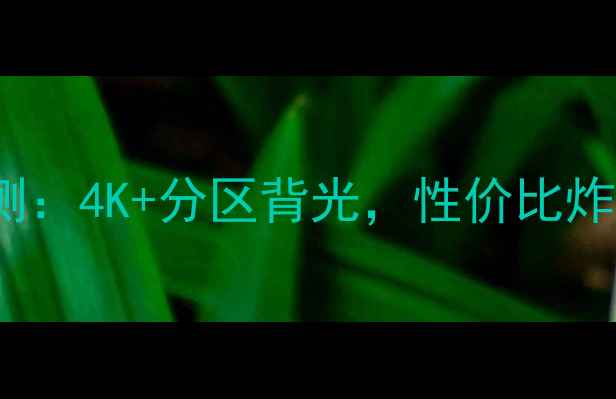 图片 LGUB8800电视真实评测：4K+分区背光，性价比炸裂！附详细参数对比1