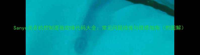 图片 Sanyo洗衣机控制面板故障代码大全：常见问题排查与维修指南（附图解）
