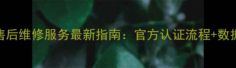 图片 Seagate硬盘售后维修服务最新指南：官方认证流程+数据恢复全攻略1