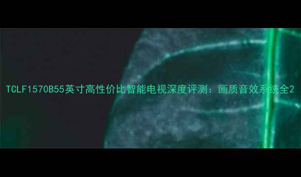 图片 TCLF1570B55英寸高性价比智能电视深度评测：画质音效系统全2