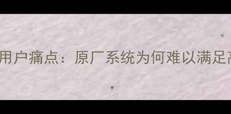 图片 TCLRT95001用户痛点：原厂系统为何难以满足高端需求？2