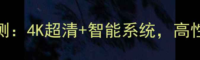图片 TCL电视WP2045深度评测：4K超清+智能系统，高性价比家庭影院新选择2