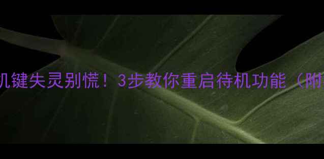 图片 TCL电视待机键失灵别慌！3步教你重启待机功能（附视频教程）