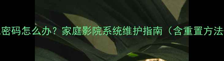 图片 TCL电视忘记密码怎么办？家庭影院系统维护指南（含重置方法+安全设置）