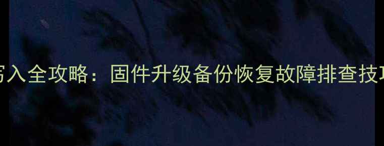 图片 TCL电视数据写入全攻略：固件升级备份恢复故障排查技巧（最新版）1