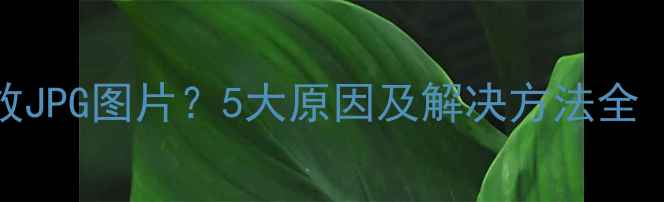 图片 TCL电视无法播放JPG图片？5大原因及解决方法全（附官方教程）1