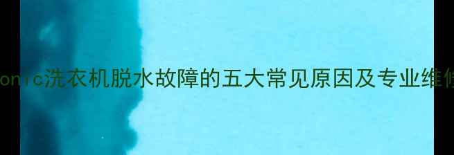 图片 panasonic洗衣机脱水故障的五大常见原因及专业维修指南