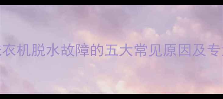 图片 panasonic洗衣机脱水故障的五大常见原因及专业维修指南1