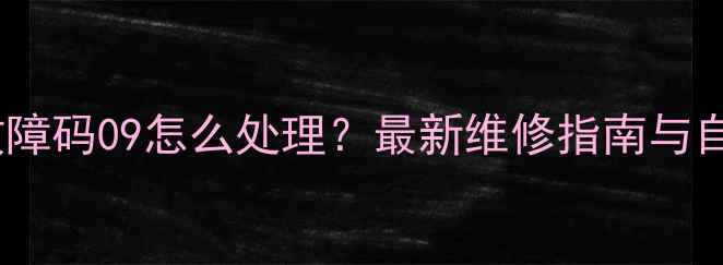 图片 三洋洗衣机故障码09怎么处理？最新维修指南与自救步骤详解1