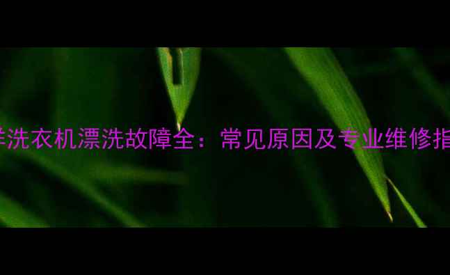 图片 三洋洗衣机漂洗故障全：常见原因及专业维修指南2