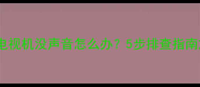 图片 三洋液晶电视机没声音怎么办？5步排查指南解决故障2