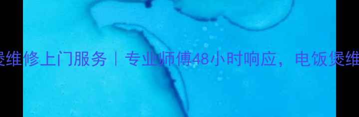 图片 上海奔腾电饭煲维修上门服务｜专业师傅48小时响应，电饭煲维修保养全攻略2