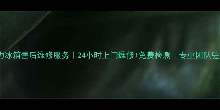 图片 中山威力冰箱售后维修服务｜24小时上门维修+免费检测｜专业团队驻点服务1