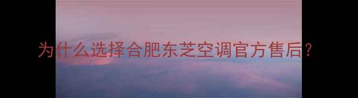 图片 为什么选择合肥东芝空调官方售后？