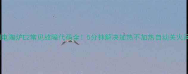 图片 九阳电陶炉E2常见故障代码全！5分钟解决加热不加热自动关火问题1