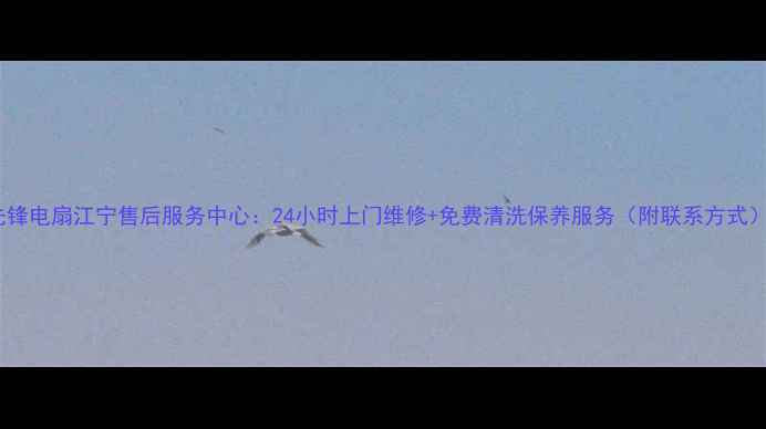 图片 先锋电扇江宁售后服务中心：24小时上门维修+免费清洗保养服务（附联系方式）2