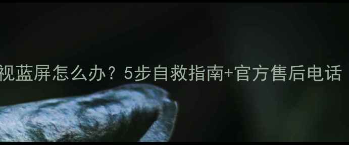 图片 创维42E82RD电视蓝屏怎么办？5步自救指南+官方售后电话（附维修案例）