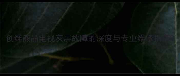 图片 创维液晶电视灰屏故障的深度与专业维修指南2