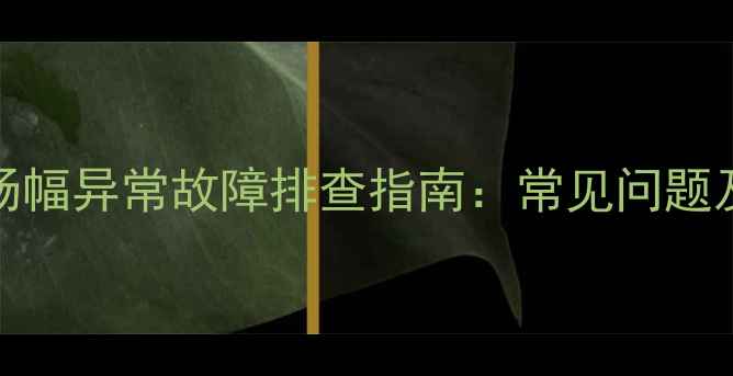 图片 创维电视21N15场幅异常故障排查指南：常见问题及专业维修方案1