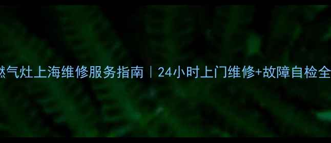 图片 华帝燃气灶上海维修服务指南｜24小时上门维修+故障自检全攻略1