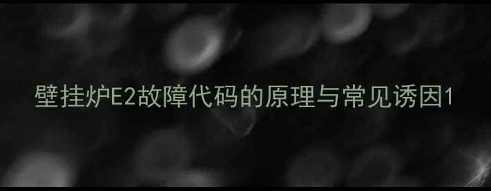 图片 壁挂炉E2故障代码的原理与常见诱因1