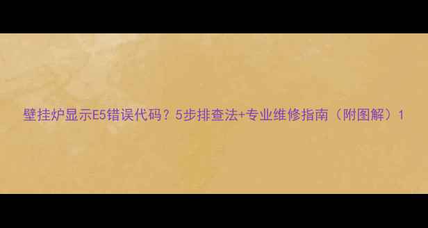 图片 壁挂炉显示E5错误代码？5步排查法+专业维修指南（附图解）1