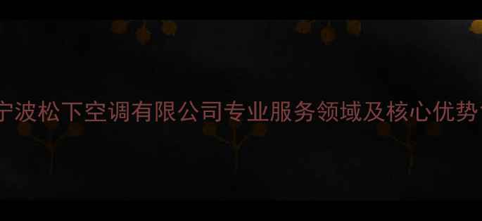 图片 宁波松下空调有限公司专业服务领域及核心优势1