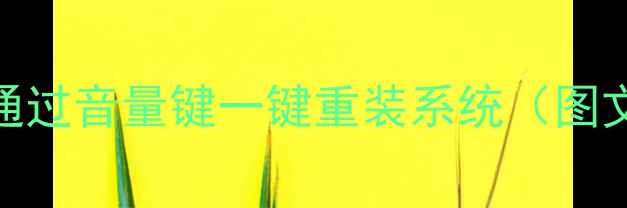 图片 康佳电视刷机全攻略：通过音量键一键重装系统（图文教程+常见问题解答）2
