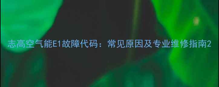 图片 志高空气能E1故障代码：常见原因及专业维修指南2