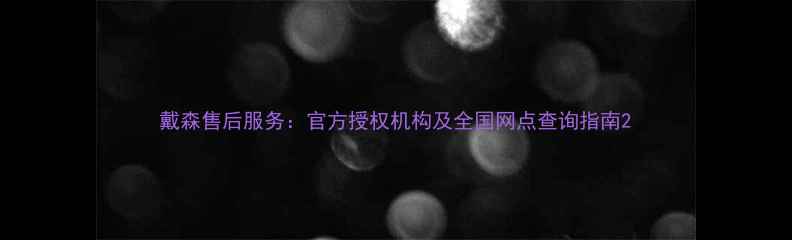 图片 戴森售后服务：官方授权机构及全国网点查询指南2