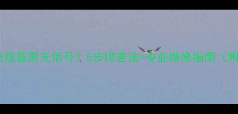 图片 户户通电视蓝屏无信号？5步排查法+专业维修指南（附图解）2