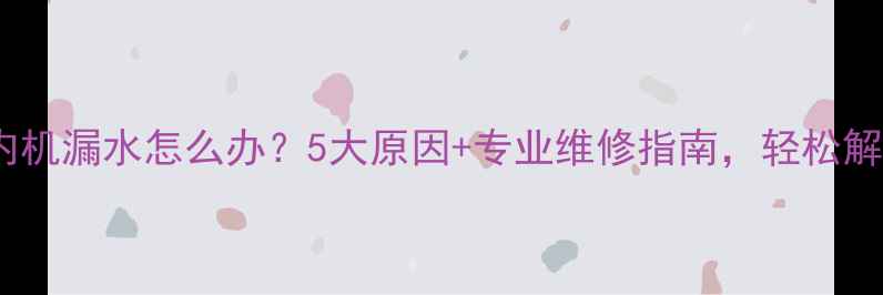 图片 挂壁式空调室内机漏水怎么办？5大原因+专业维修指南，轻松解决水渍烦恼！1