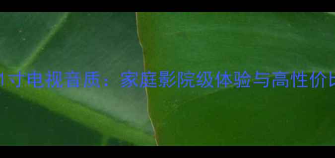 图片 松下21寸电视音质：家庭影院级体验与高性价比之选