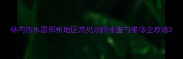 图片 林内热水器郑州地区常见故障排查与维修全攻略2