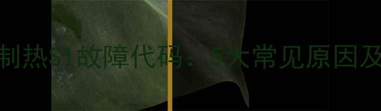 图片 格力空调制热S1故障代码：5大常见原因及解决方法