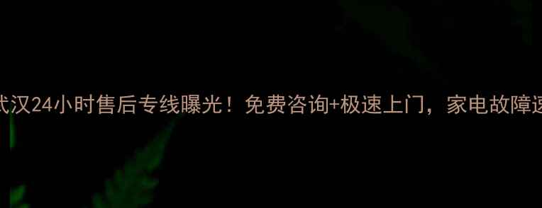 图片 樱雪武汉24小时售后专线曝光！免费咨询+极速上门，家电故障速解决