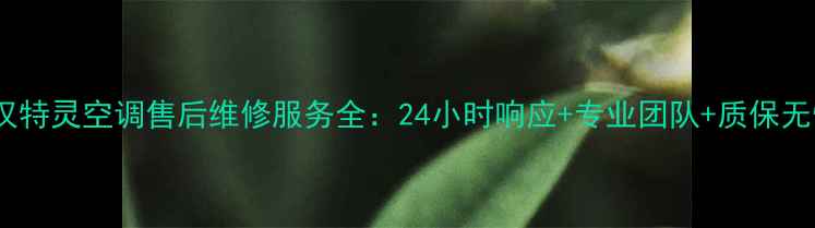 图片 武汉特灵空调售后维修服务全：24小时响应+专业团队+质保无忧1