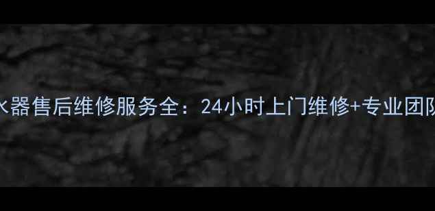 图片 比德斯电热水器售后维修服务全：24小时上门维修+专业团队+售后保障1