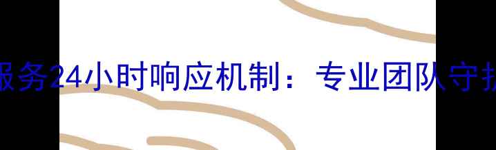 图片 法格锅炉长沙售后服务24小时响应机制：专业团队守护工业设备高效运转