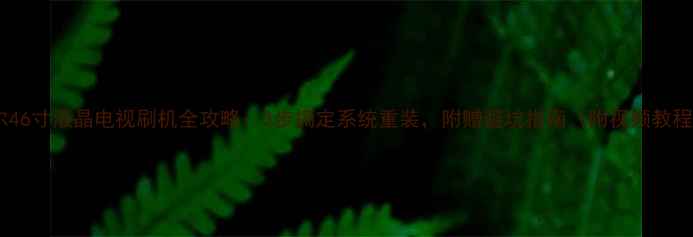 图片 海尔46寸液晶电视刷机全攻略：3步搞定系统重装，附赠避坑指南（附视频教程）1