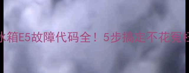 图片 海尔冰箱E5故障代码全！5步搞定不花冤枉钱💡