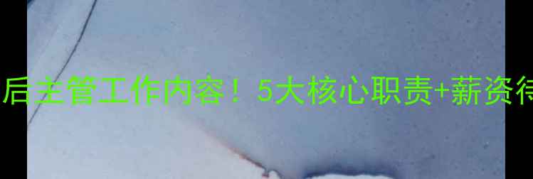 图片 海尔洗衣机售后主管工作内容！5大核心职责+薪资待遇全公开✨2