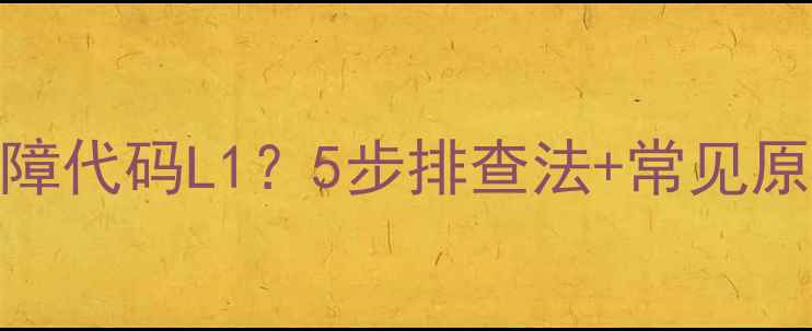 图片 海尔洗衣机显示故障代码L1？5步排查法+常见原因+专业维修指南1