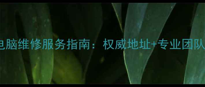 图片 深圳海尔电脑维修服务指南：权威地址+专业团队+全城覆盖