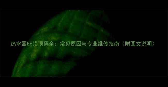 图片 热水器E6错误码全：常见原因与专业维修指南（附图文说明）