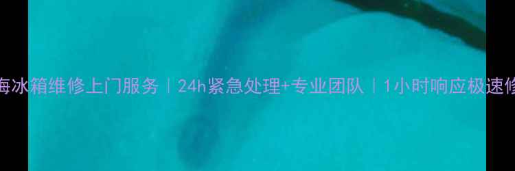 图片 珠海冰箱维修上门服务｜24h紧急处理+专业团队｜1小时响应极速修复