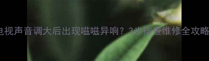 图片 电视声音调大后出现嗞嗞异响？3步排查维修全攻略2