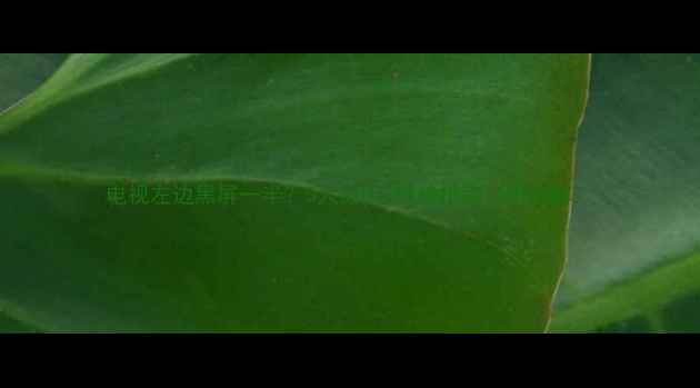 图片 电视左边黑屏一半？5大原因+维修指南（附图解）