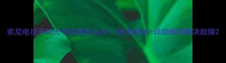 图片 索尼电视开机无节目源怎么办？5步排查法+详细教程解决故障2